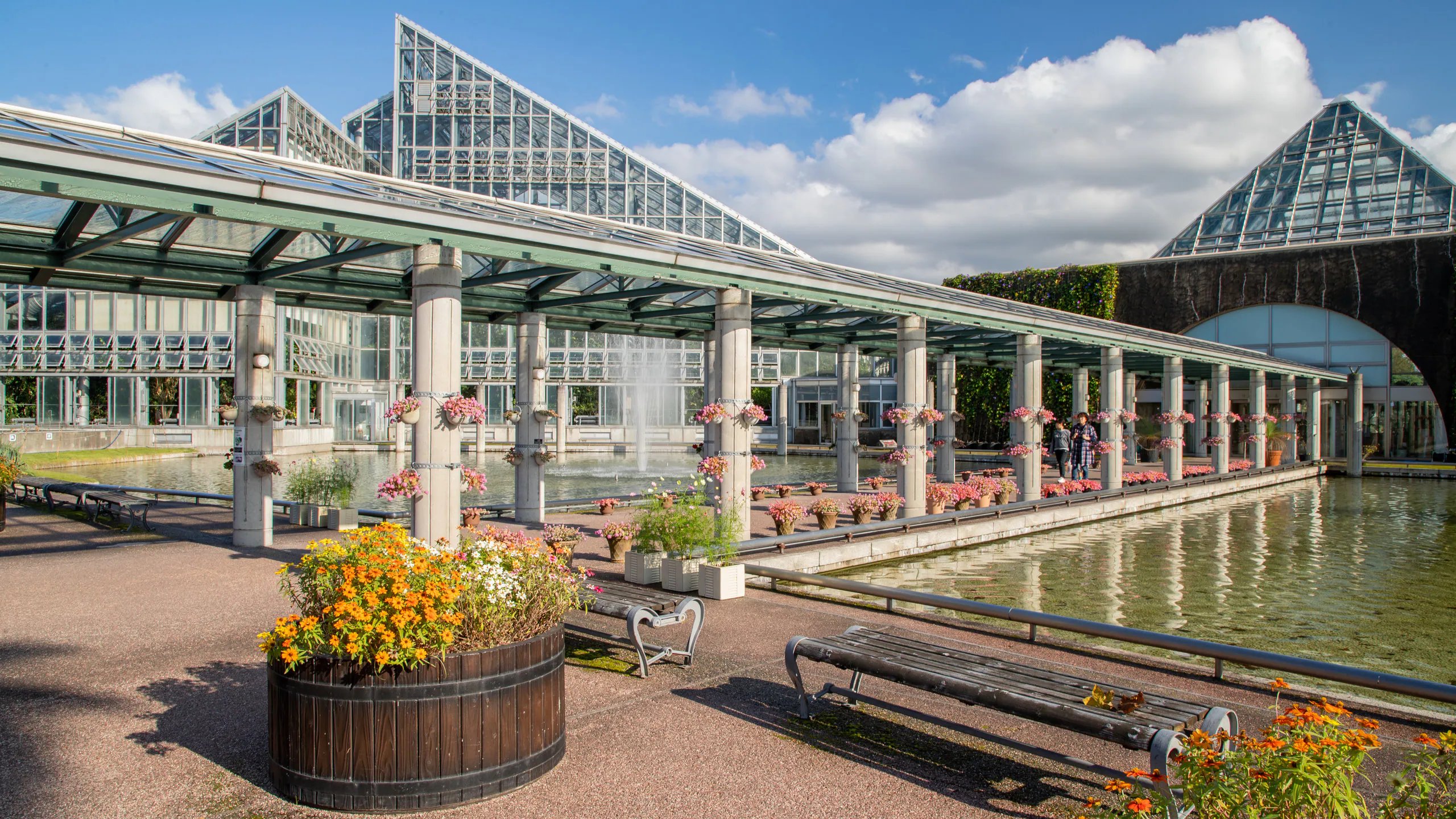 🔬 도야마시 과학박물관 (토야마시 카가쿠 하쿠부츠칸) 이미지 6